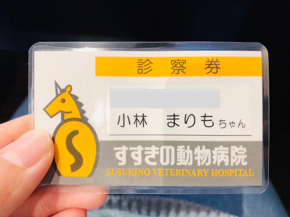 我が家のうさぎがスナッフルに 治療と予防策は 動物病院での体験談 となりのペット